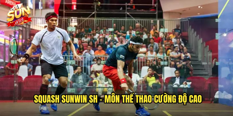 Cá Cược Squash Sunwin SH - Thể Thao Vợt Trong Không Gian Kín 2 Squash Sunwin SH - Môn Thể Thao Cường Độ Cao