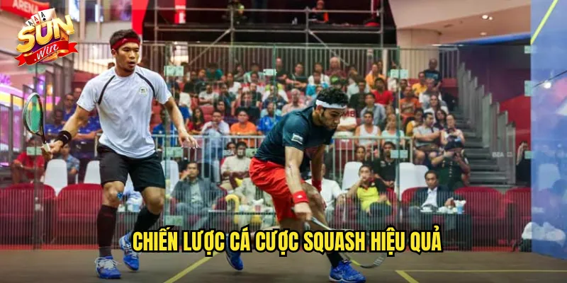 Cá Cược Squash Sunwin SH - Thể Thao Vợt Trong Không Gian Kín 3 Chiến Lược Cá Cược Squash Hiệu Quả